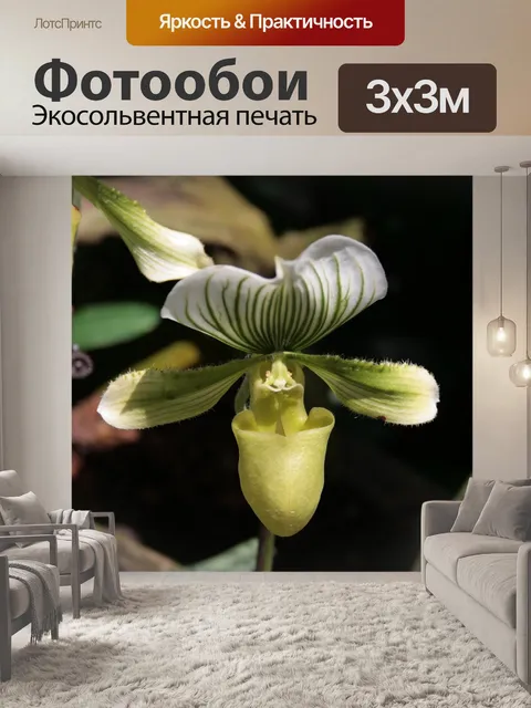 Фотообои Сингапур