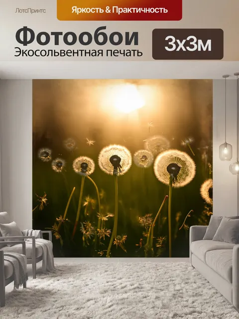 Фотообои в солнечном свете одуванчики освещены сзади