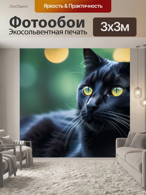 Фотообои с черным котом