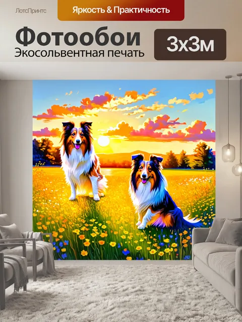 Фотообои пейзаж с двумя шелти в поле, окруженном цветущими дикими цветами на закате