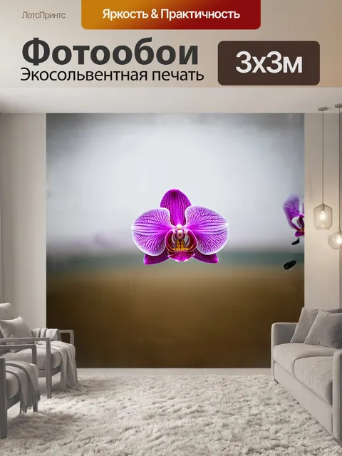 Фотообои орхидея в минималистском стиле