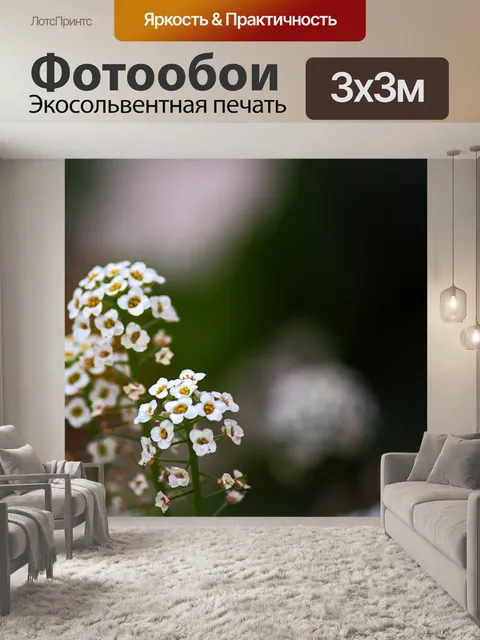 Фотообои Белая сладкая головка цветка алиссума
