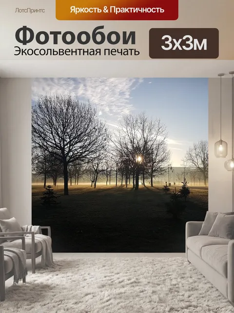 Фотообои Пар