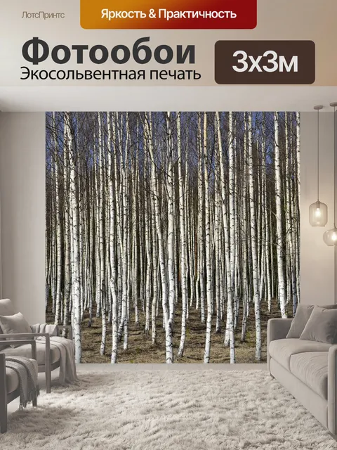 Фотообои Березы