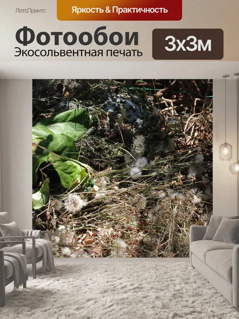 Фотообои зеленые листья плюща и пушистые семена
