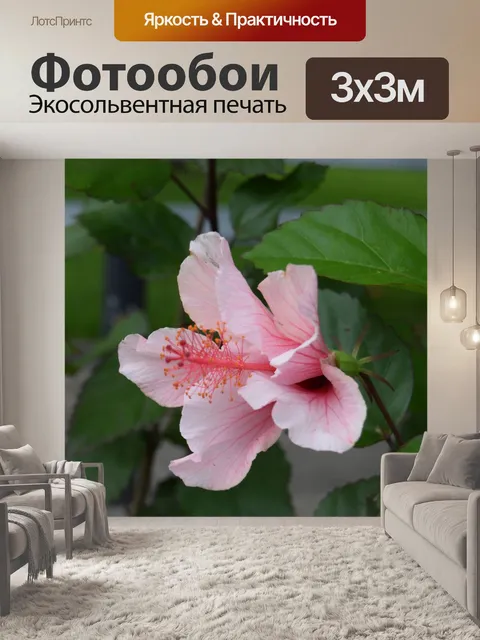 Фотообои Розовый гибискус