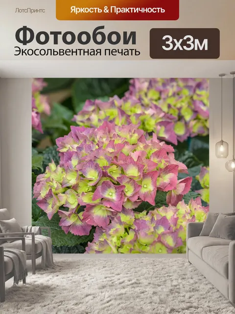 Фотообои Гортензия