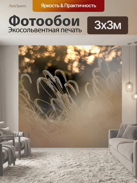 Фотообои Пшеница