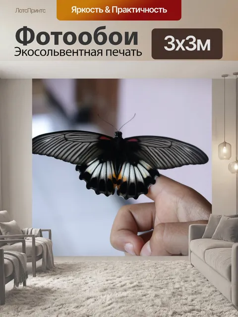 Фотообои Бабочка рождена