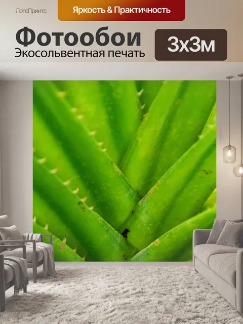 Фотообои Зеленая пальма