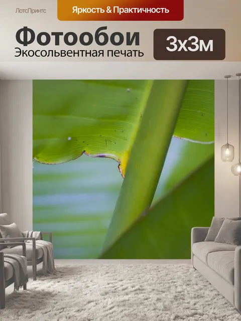 Фотообои Банановые листья