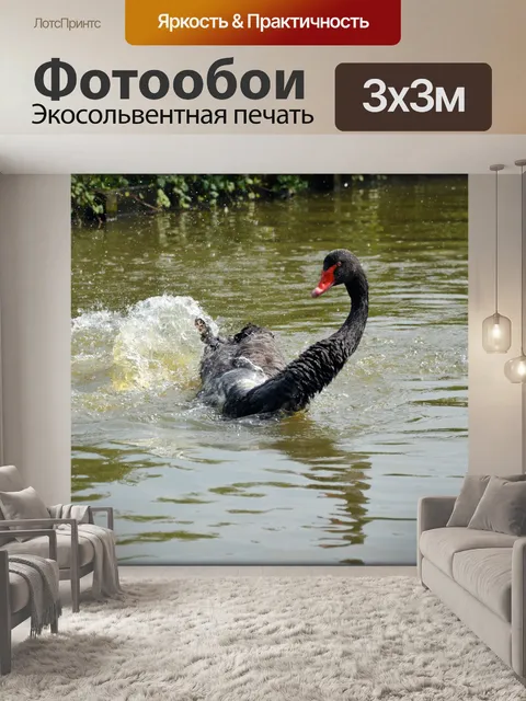 Фотообои Черный лебедь Series 2 водный балет 5