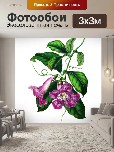 Фотообои Клипарт Цветочная роспись искусства