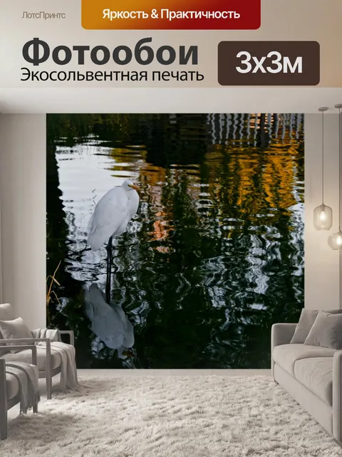 Фотообои Отражение снежной цапли