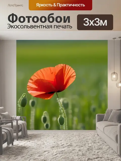 Фотообои красные маки на фоне зеленого поля