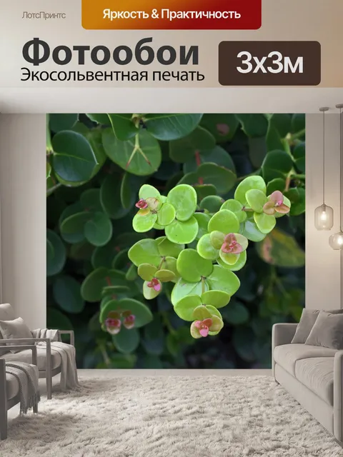 Фотообои гроздь ярко-зеленой новой листвы