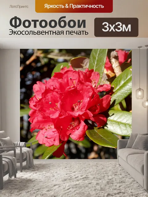Фотообои Цветник на горе Дои Интанон