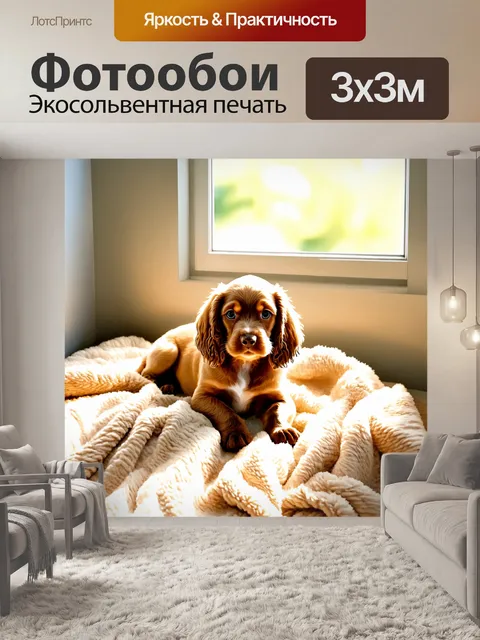 Фотообои перед вами уютный домашний уголок, где лежит щенок кокер-спаниеля, укрытый мягким пледом