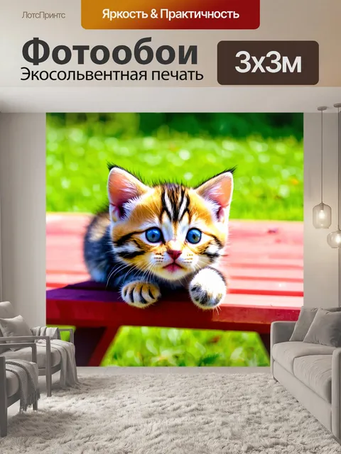 Фотообои котенок, переброшенный через стол для пикника