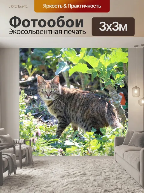 Фотообои Кошка