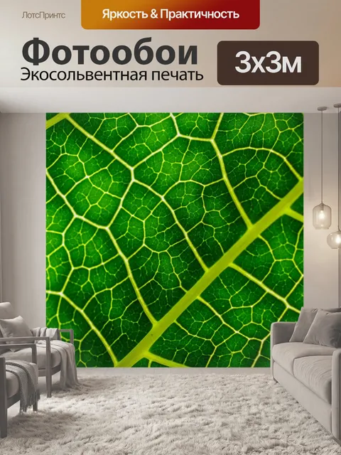 Фотообои Зеленый лист фон