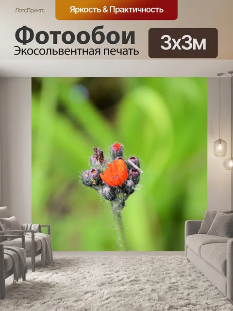 Фотообои Голландские цветы в садах 12