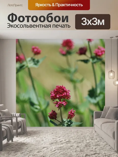 Фотообои Фиолетовый