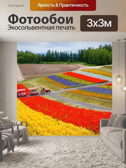 Фотообои Хоккайдо