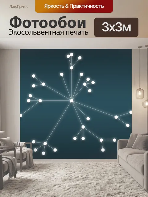 Фотообои Сеть