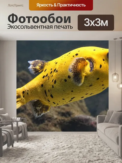 Фотообои Рыба фугу