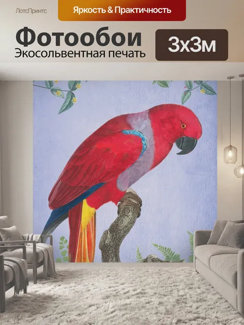 Фотообои Попугай птица старинный плакат