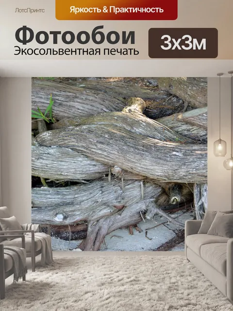 Фотообои Коряги на пляже