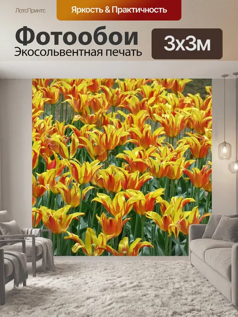 Фотообои Тюльпаны
