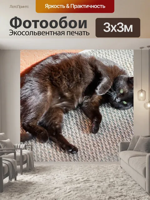 Фотообои Кошка
