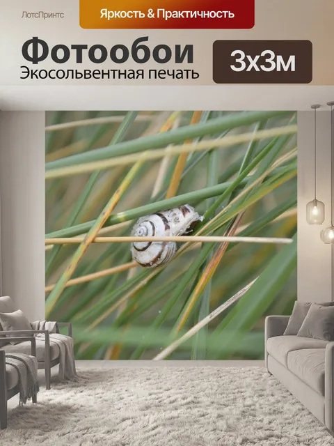 Фотообои Улитка