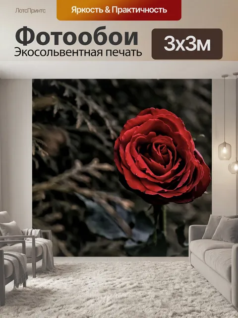 Фотообои Розы