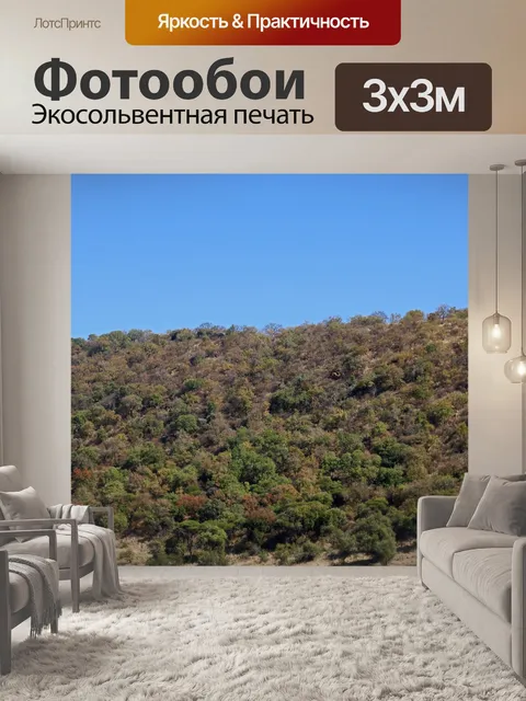 Фотообои деревья и растительность на краю кратера