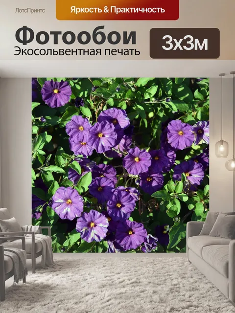 Фотообои Фиолетовый Цветочные фон