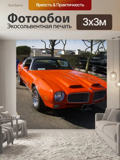 Фотообои Жар-птица 1970