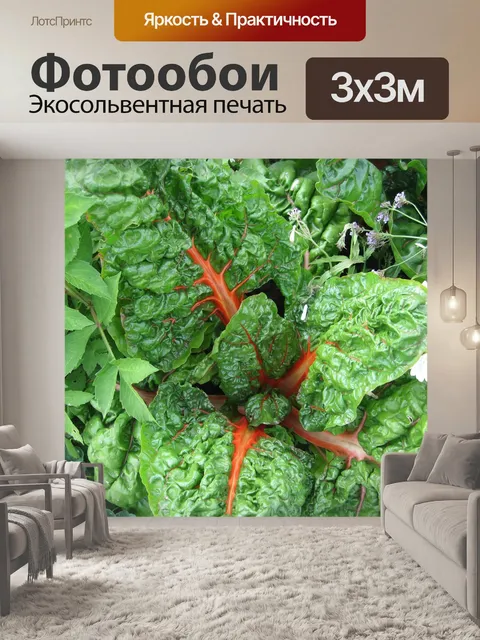 Фотообои Овощи