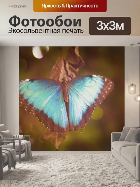 Фотообои бабочка