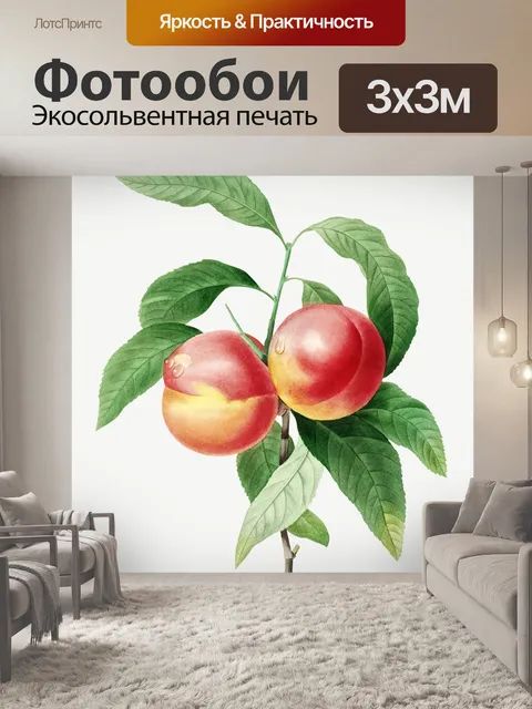 Фотообои Персиковый фрукт винтажное искусство
