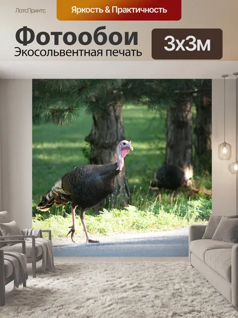 Фотообои Индейка благодарения