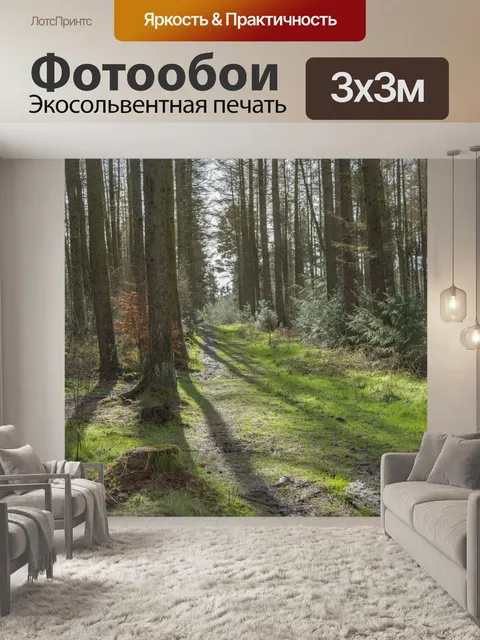 Фотообои лес