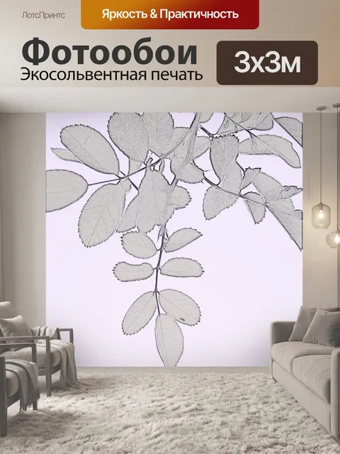 Фотообои вырос лист линия эскиз