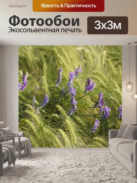 Фотообои Пчелиное пастбище Фацелия цветы поле