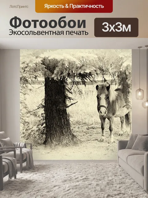 Фотообои Пони