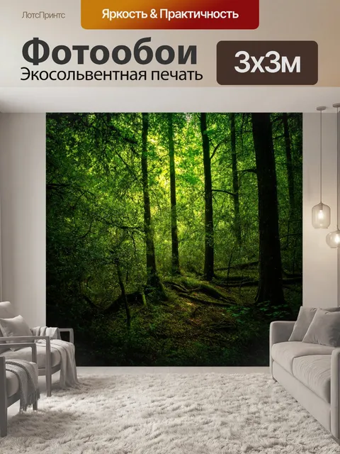Фотообои лес с тёмным подлеском и яркими узорами света