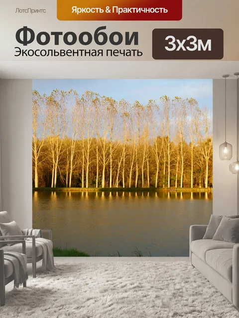 Фотообои Солнце