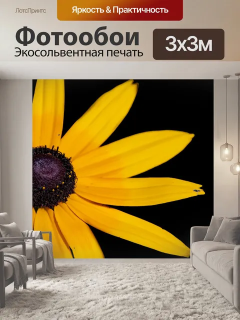 Фотообои Цветок, Рудбекия мохнатая